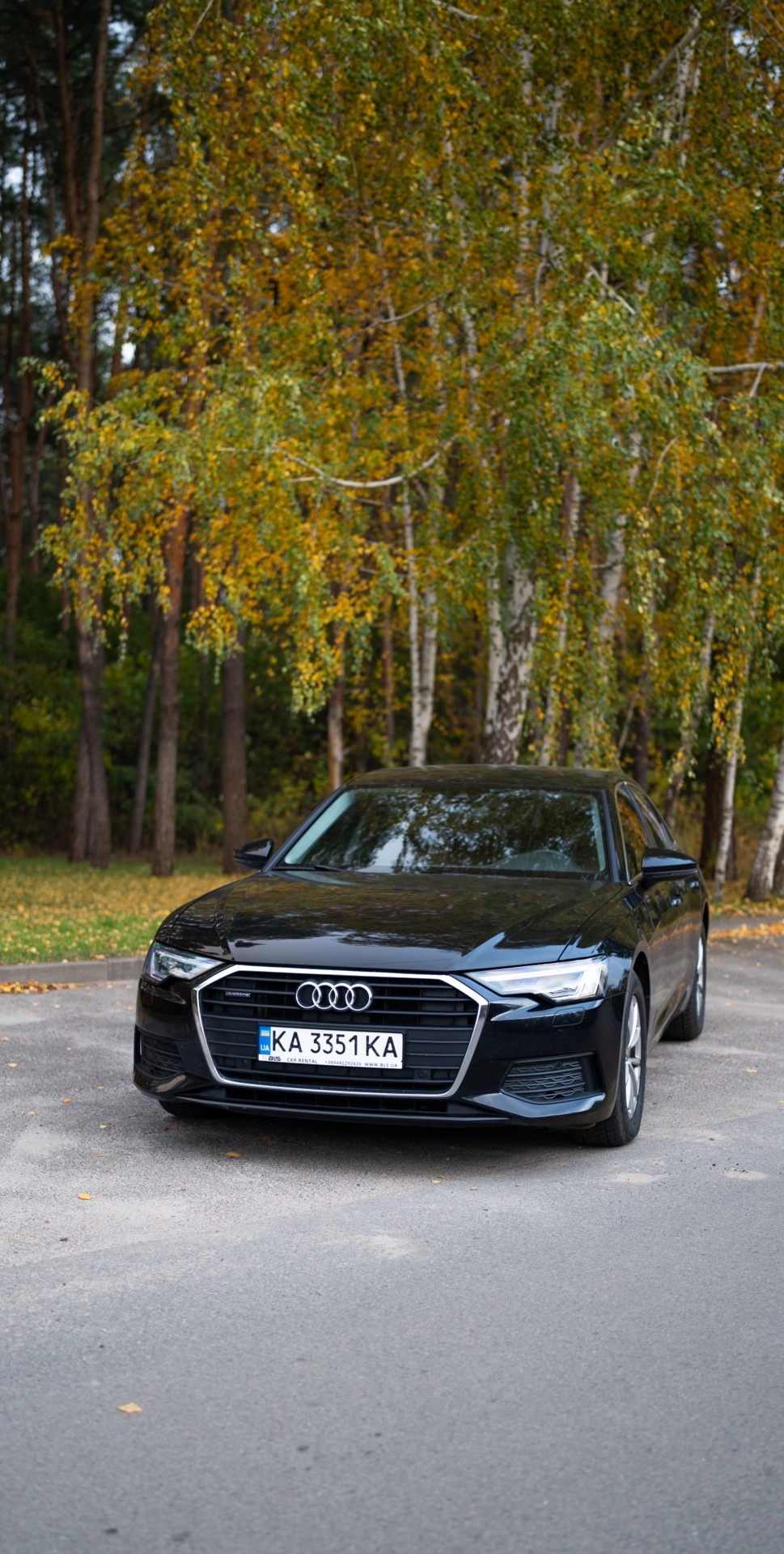 прокат Audi A6 Quattro фото 6